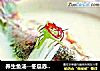 养生鱼汤--冬瓜赤小豆煲生鱼汤的做法