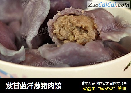 紫甘蓝洋葱猪肉饺