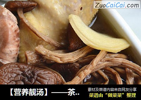 【營養靓湯】——茶樹菇煲雞封面圖