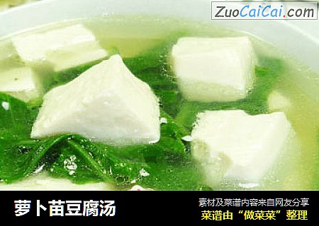 萝卜苗豆腐汤