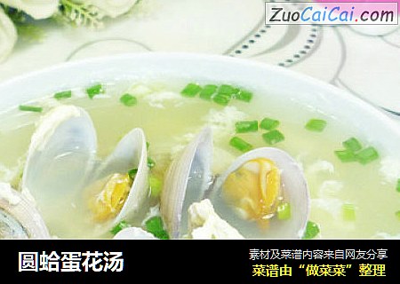 圆蛤蛋花汤
