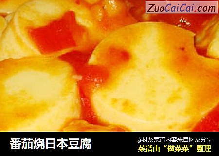 番茄燒日本豆腐封面圖