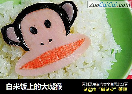 白米飯上的大嘴猴封面圖