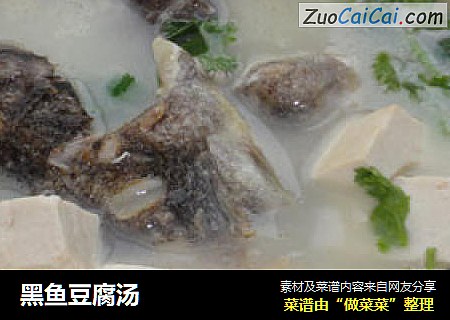 黑鱼豆腐汤芷菲版