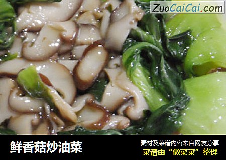 鮮香菇炒油菜封面圖