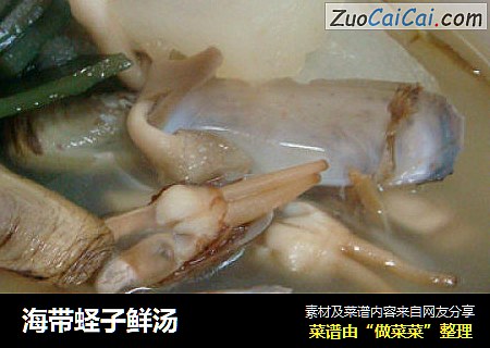 海帶蛏子鮮湯封面圖