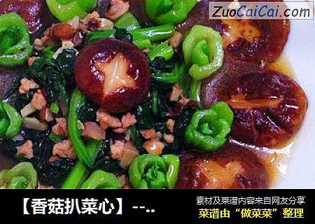 【香菇扒菜心】--蚝油绿玫瑰的盛宴