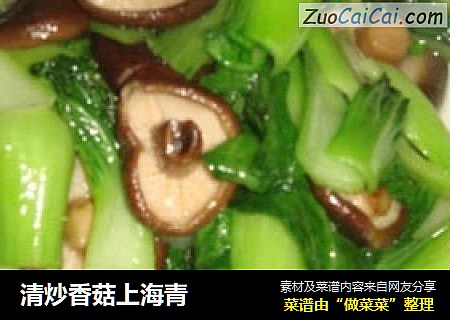 清炒香菇上海青封面圖