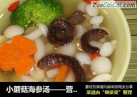 小蘑菇海参汤——营养从早餐开始
