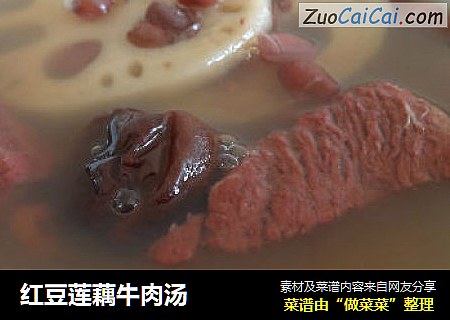 红豆莲藕牛肉汤