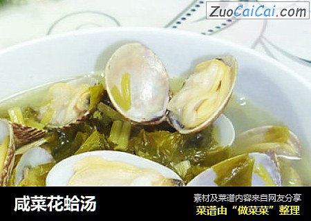 鹹菜花蛤湯封面圖