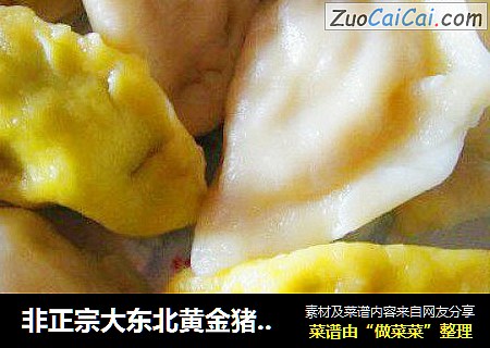 非正宗大东北黄金猪肉白菜大水饺