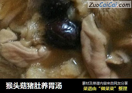 猴頭菇豬肚養胃湯封面圖