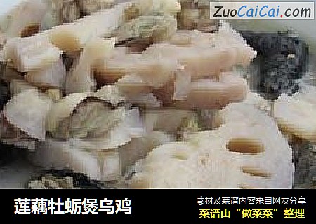 蓮藕牡蛎煲烏雞封面圖