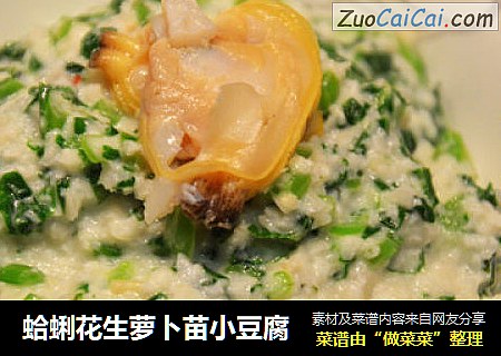 蛤蜊花生萝卜苗小豆腐