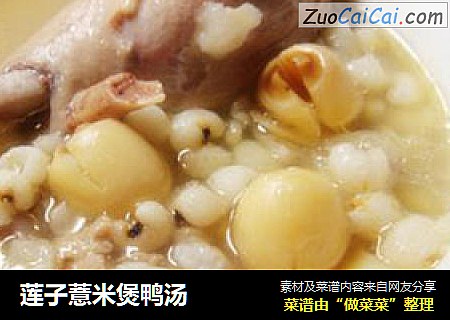 蓮子薏米煲鴨湯封面圖