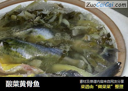 酸菜黄骨鱼