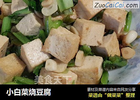 小白菜燒豆腐封面圖