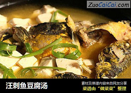 汪刺魚豆腐湯封面圖
