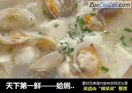 天下第一鮮——蛤蜊豆腐湯封面圖