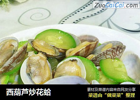 西葫蘆炒花蛤封面圖