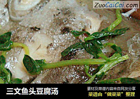 三文魚頭豆腐湯封面圖