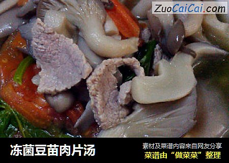 凍菌豆苗肉片湯封面圖
