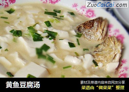 黃魚豆腐湯封面圖