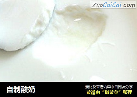 自製酸奶封面圖