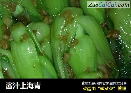 醬汁上海青封面圖