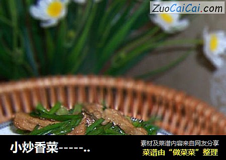 小炒香菜-----春季快手菜封面圖