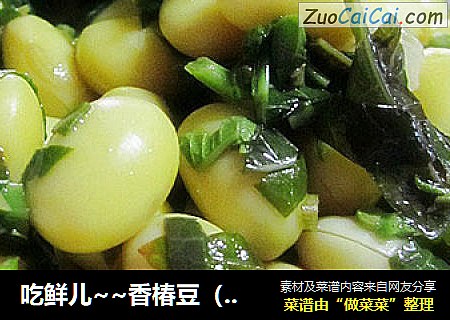 吃鮮兒~~香椿豆（仙草出品）封面圖