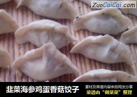 韭菜海参鸡蛋香菇饺子