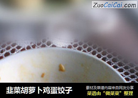 韭菜胡萝卜鸡蛋饺子
