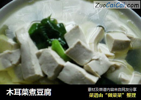 木耳菜煮豆腐封面圖