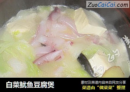 白菜鱿魚豆腐煲封面圖