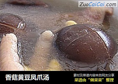 香菇黃豆鳳爪湯封面圖