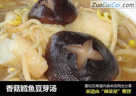 香菇鳕魚豆芽湯封面圖