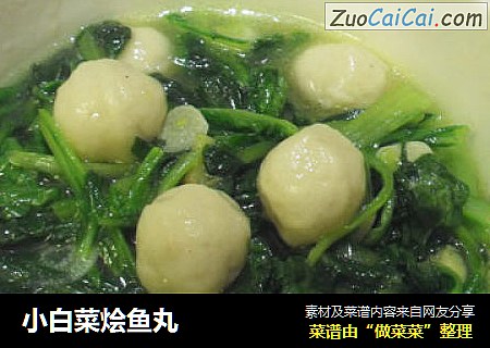 小白菜燴魚丸封面圖