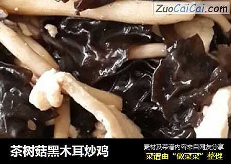茶樹菇黑木耳炒雞封面圖