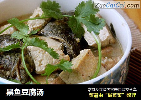 黑鱼豆腐汤小尧0209版