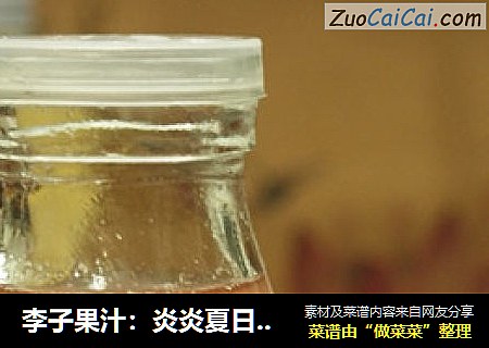 李子果汁：炎炎夏日的清新果香