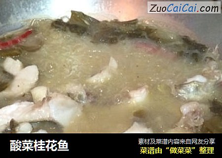 酸菜桂花鱼