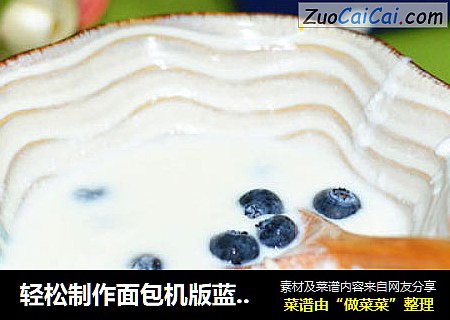 轻松制作面包机版蓝莓大果粒酸奶