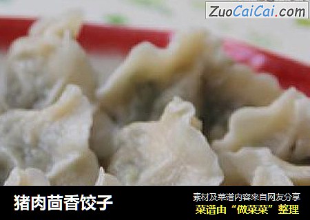 猪肉茴香饺子