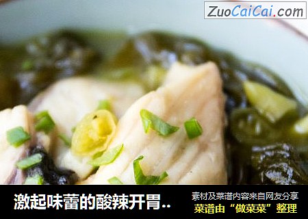 激起味蕾的酸辣开胃菜——泡椒酸菜鱼