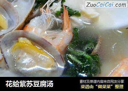 花蛤紫蘇豆腐湯封面圖