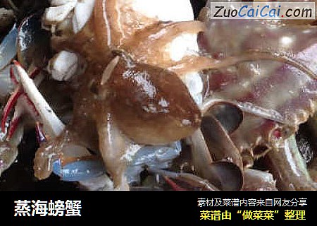 蒸海螃蟹封面圖
