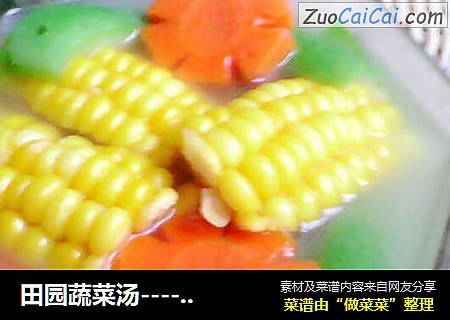 田園蔬菜湯----胡蘿蔔玉米絲瓜湯封面圖