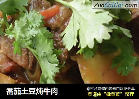 番茄土豆炖牛肉封面圖